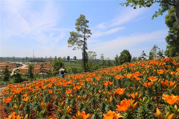 宜昌夷陵乡村旅游