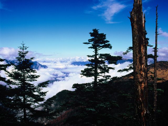 宜昌神农架自驾旅游指南