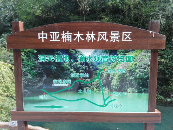 宜昌夷陵中亚楠木林游客中心