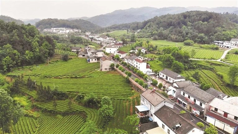 宜昌乡村游指南