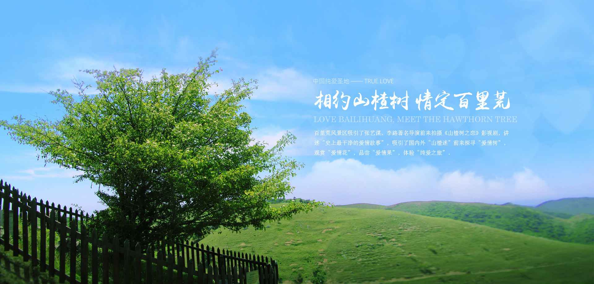 宜昌百里荒旅游直通车