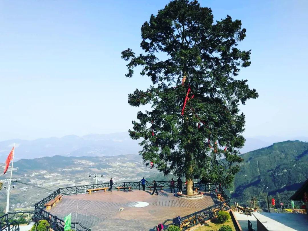 宜昌兴山旅游预定网