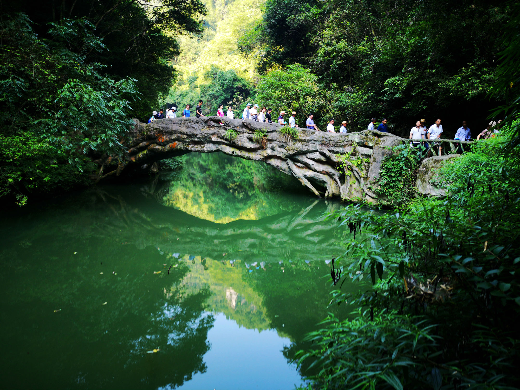 宜昌三峡大瀑布旅游预订中心