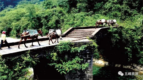 宜昌旅游线路预定