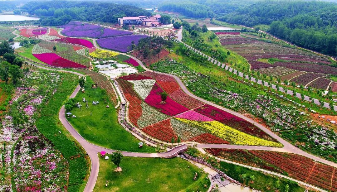 宜昌研学旅行基地