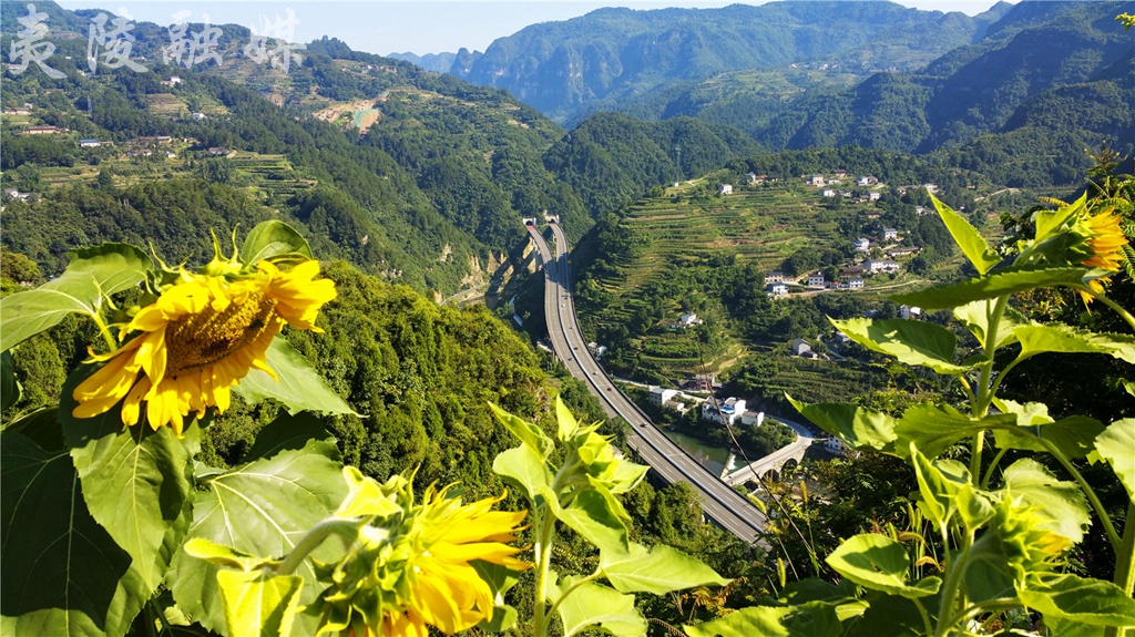 宜昌三峡大瀑布旅游直通车