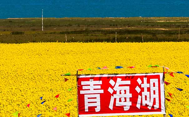 宜昌到青海湖自驾游线路